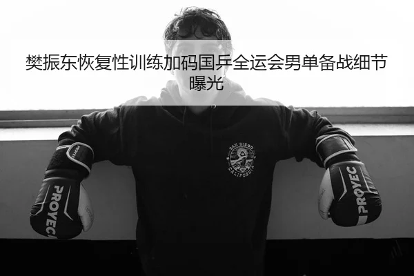 樊振东恢复性训练加码国乒全运会男单备战细节曝光