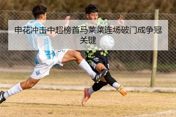 申花冲击中超榜首马莱莱连场破门成争冠关键